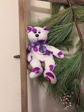 Collector  I Love Lucy Episode 150 Limited Edition Plush Bear